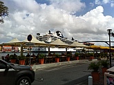 iPhone 3653